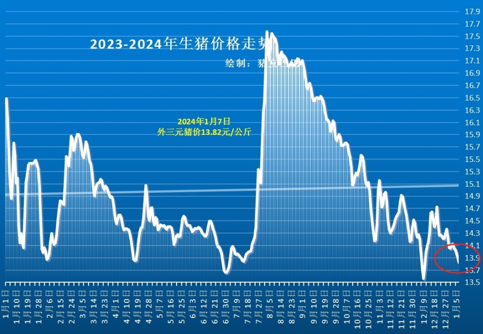 生猪行情深度解析，最新趋势与动态分析