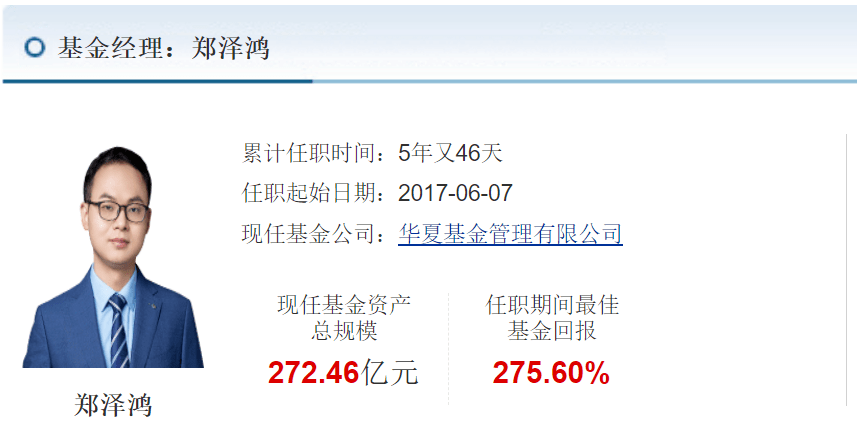 郑泽鸿的最新动态与成就概览