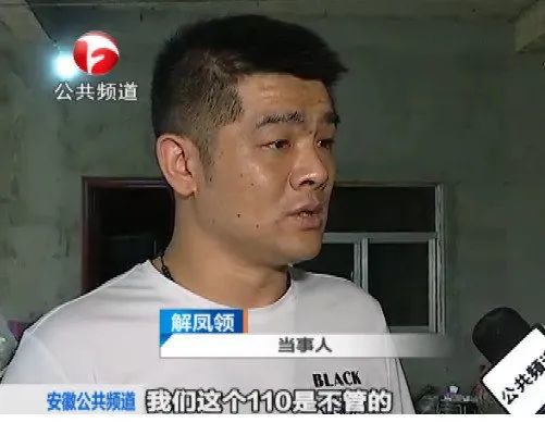 解凤领最新动态，引领变革，铸就辉煌成就