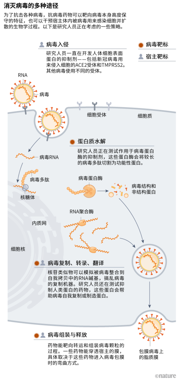 科技与人类携手应对全球病毒挑战，最新病毒控制进展