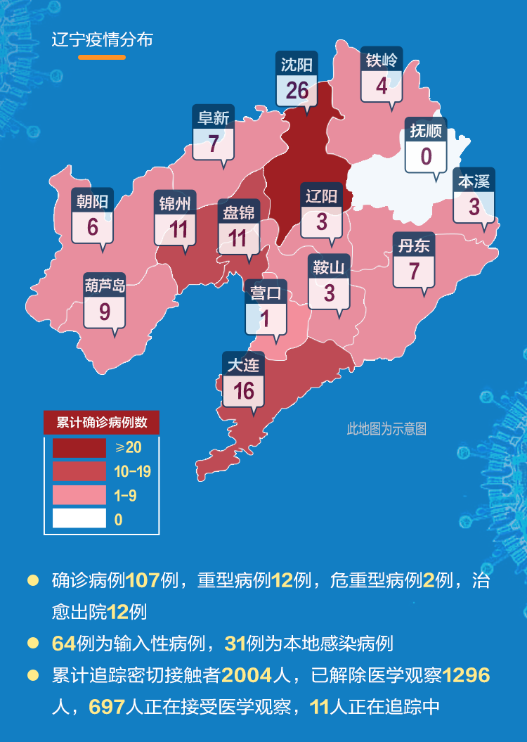 辽宁最新输入疫情，挑战、应对策略及前景展望