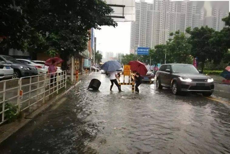 广东省最新暴雨情况报告更新，暴雨实况与影响分析